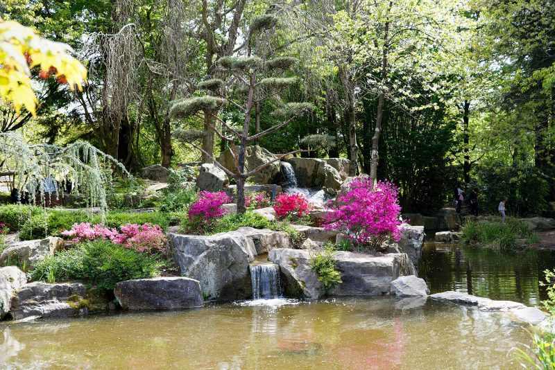 Jardin Japonais: The Japanese Garden In The Middle Of ... serapportantà Jardin Japonais Dijon