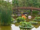 Jardins Japonais : Idées D'Aménagement, Conseils Précieux ... concernant Creation Jardin Japonais