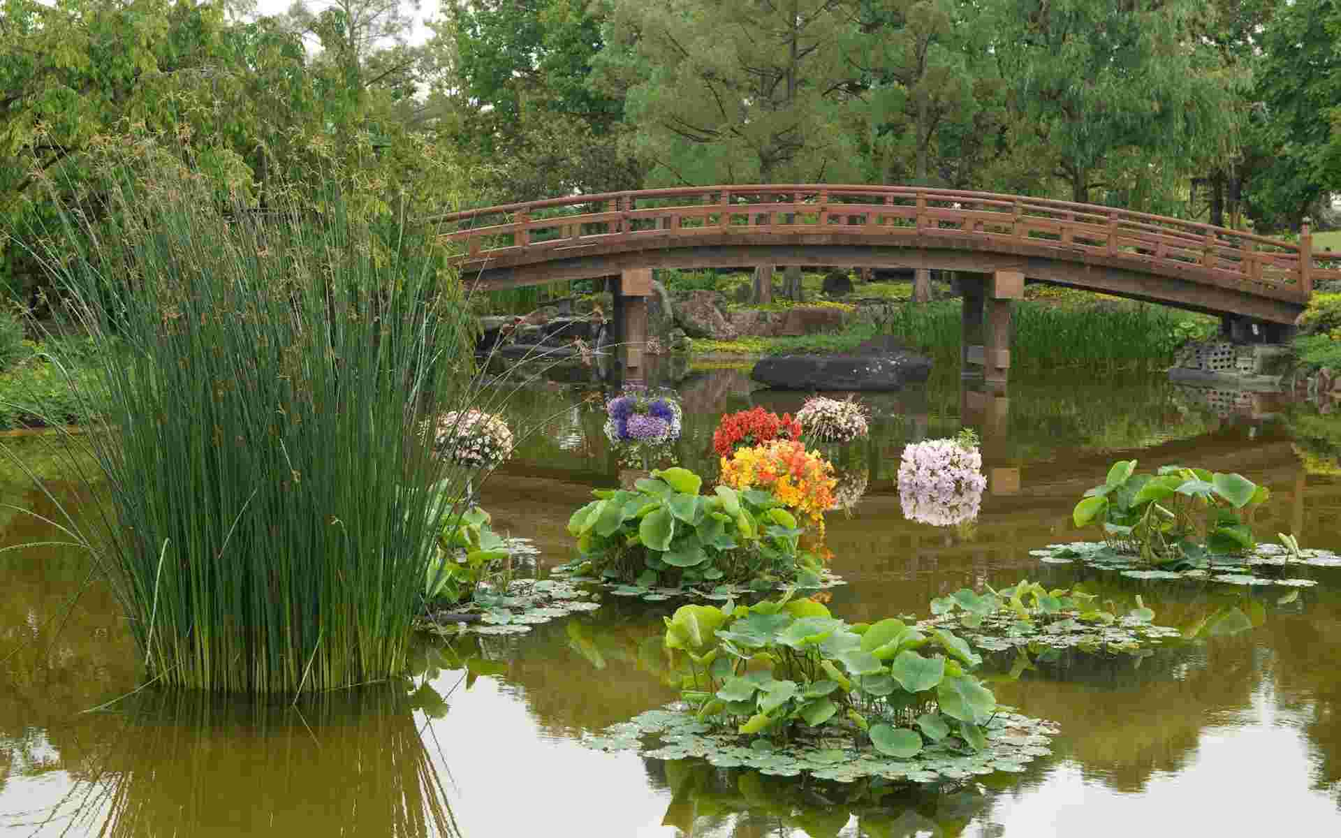 Jardins Japonais : Idées D'Aménagement, Conseils Précieux ... concernant Creation Jardin Japonais