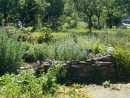 Les Radis Vagabonds | Un Jardin Potager En Entreprise… serapportantà Entreprise De Jardinage