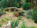 Modèle De Jardin Avec Galets En 26 Exemples Inspirants concernant Jardin Avec Galets Blancs