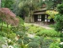 Nature : Découvrez Le Magnifique Jardin Japonais Du Musée ... dedans Creation Jardin Japonais