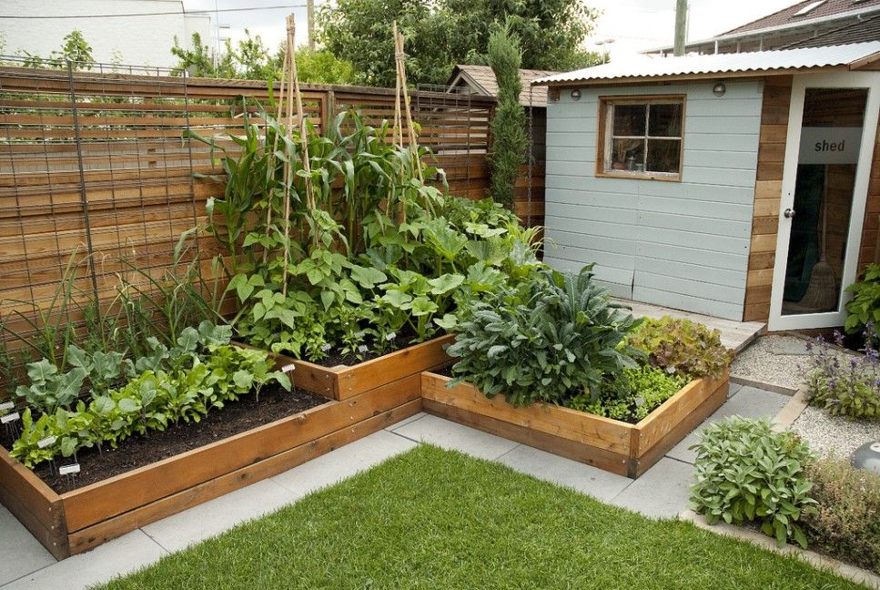 Petit Potager | Garden Layout Vegetable intérieur Amenagement Jardin Potager