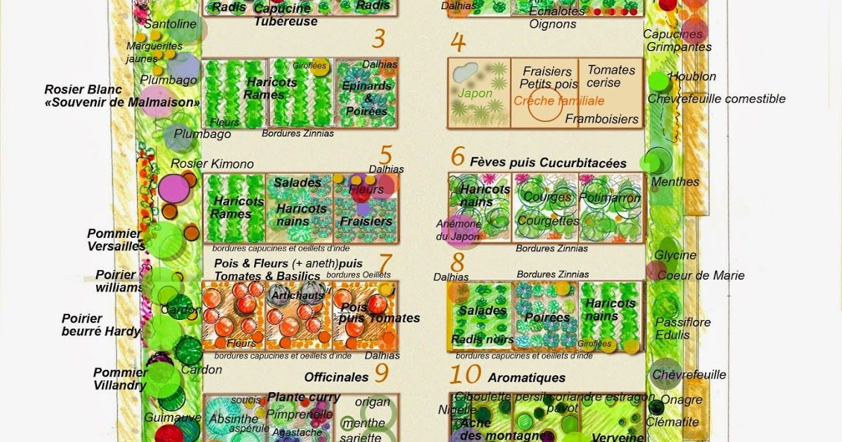 Plan Sylvie Coutant En 2020 | Design De Jardin Potager ... encequiconcerne Plan Jardin Potager