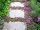 Plante Couvre Sol - Un Tableau De Couleurs Naturelles Dans ... encequiconcerne Jardin Japonais Plantes Couvre Sol
