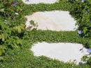 Plantes Couvre-Sol: Top 10 Des Espèces Incontournables ... serapportantà Jardin Japonais Plantes Couvre Sol