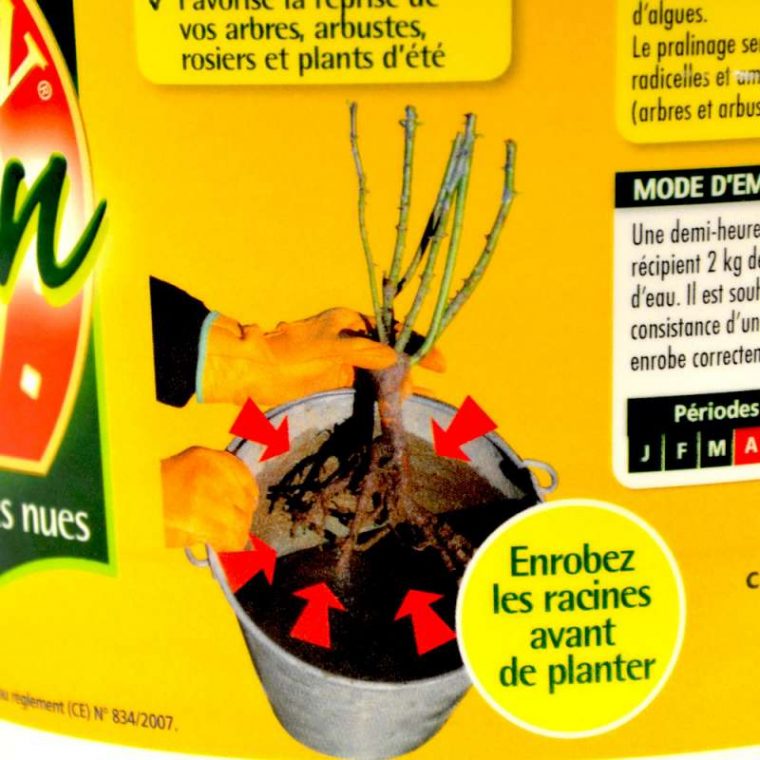 Pralin Traditionnel Toutes Plantes Or Brun Uab Seau 2 Kg intérieur Pralin Jardin