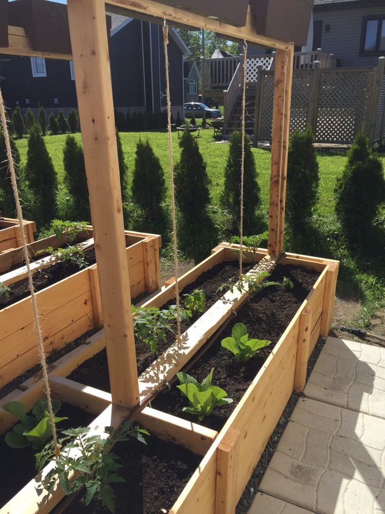 Support À Tomates | Vegetable Garden Raised Beds, Raised ... intérieur Craer Des Bacs De Jardin Avec Des Palettes