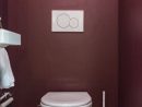 Toilettes Bordeaux | Toilette Suspendu, Déco Toilettes, Wc ... destiné Faience Pour Wc