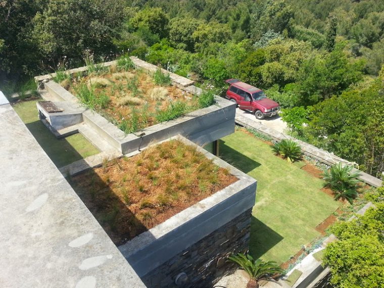 Toit Végétal En Sphaigne avec Toit Terrasse Vegetalise