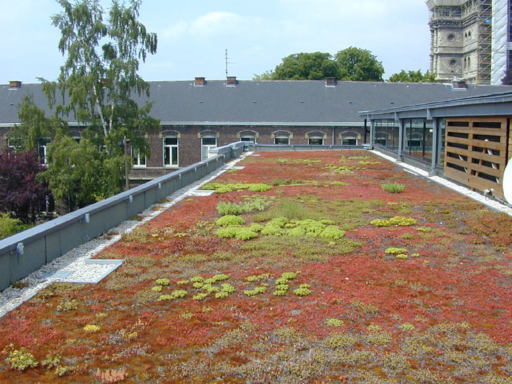 Toiture-Terrasse Végétalisée (Ttv) | Siplast Conçoit ... destiné Toiture Terrasse Vegetalisee