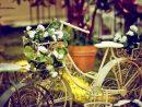 Vélo Déco Jardin En 20 Idées À Copier De Toute Urgence! concernant Velo Deco Jardin