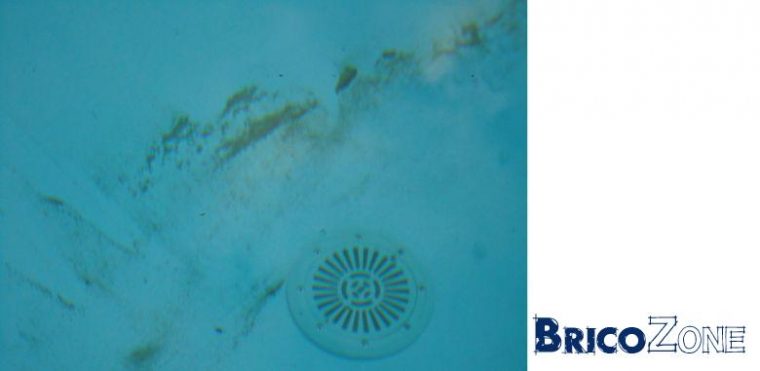 tache marron sur liner piscine