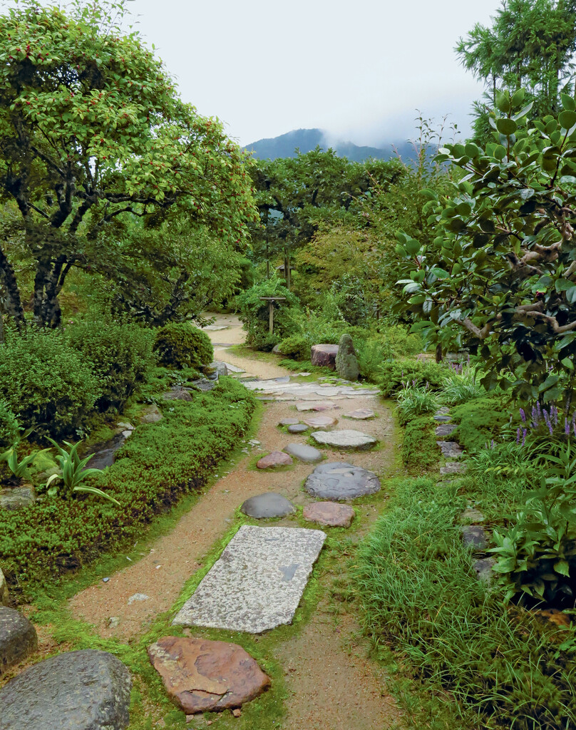 Jardin Japonais Et Pierres Plates - Mon Jardin &amp; Ma Maison concernant Le Jardin Zen De Catherine