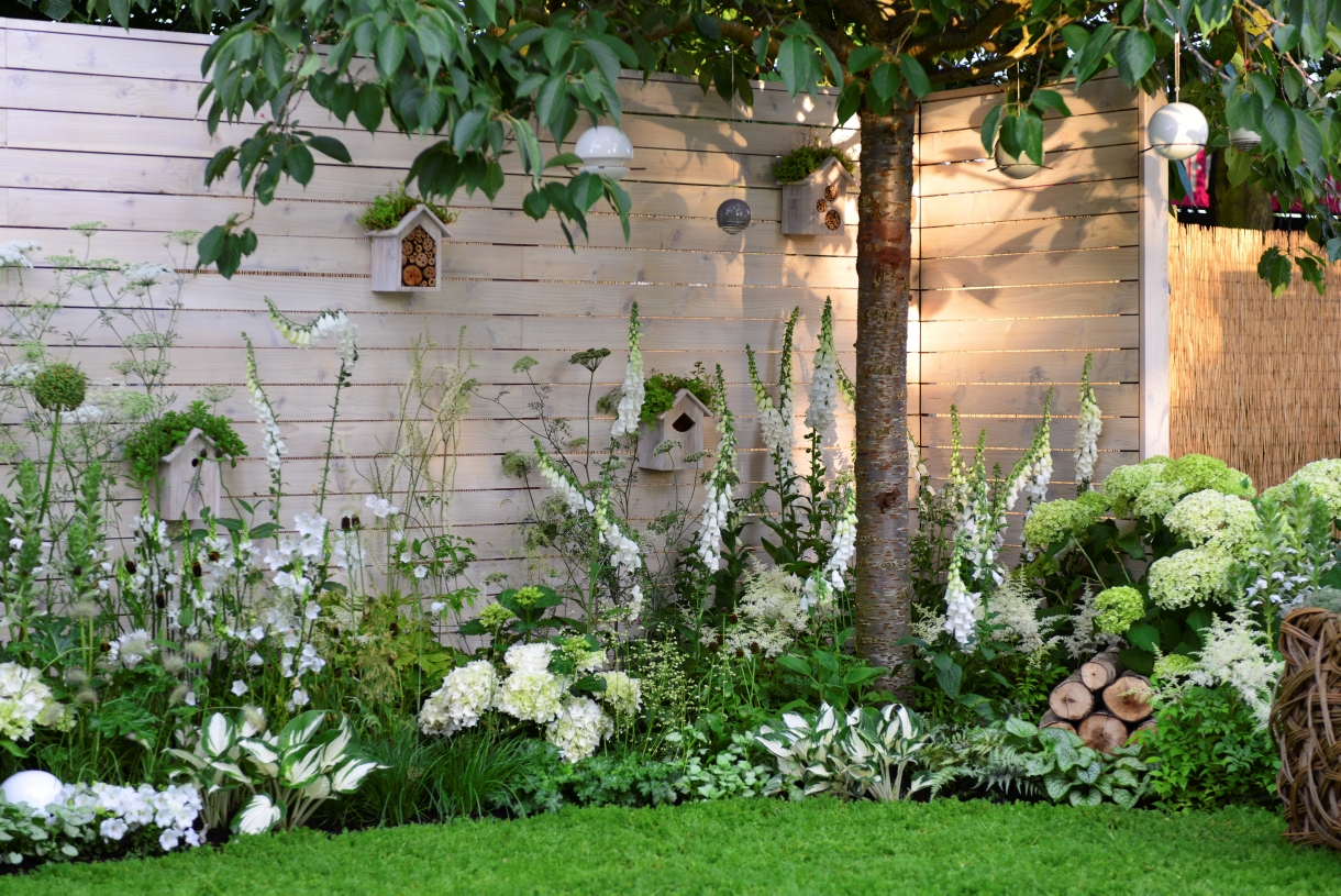 Un Jardin De Fleurs Blanches - Détente Jardin encequiconcerne Le Jardin Zen De Catherine