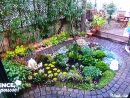 Un Petit Jardin Japonais Parisien | Pas De Panique, Décryptage De L ... tout Le Jardin Zen De Catherine