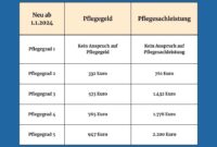 pflege änderungen 2026