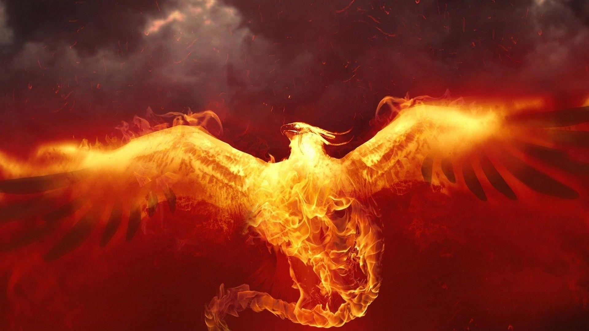  HD Phoenix Wallpapers - Top Free HD Phoenix Backgrounds - WallpaperAccess Illustration 