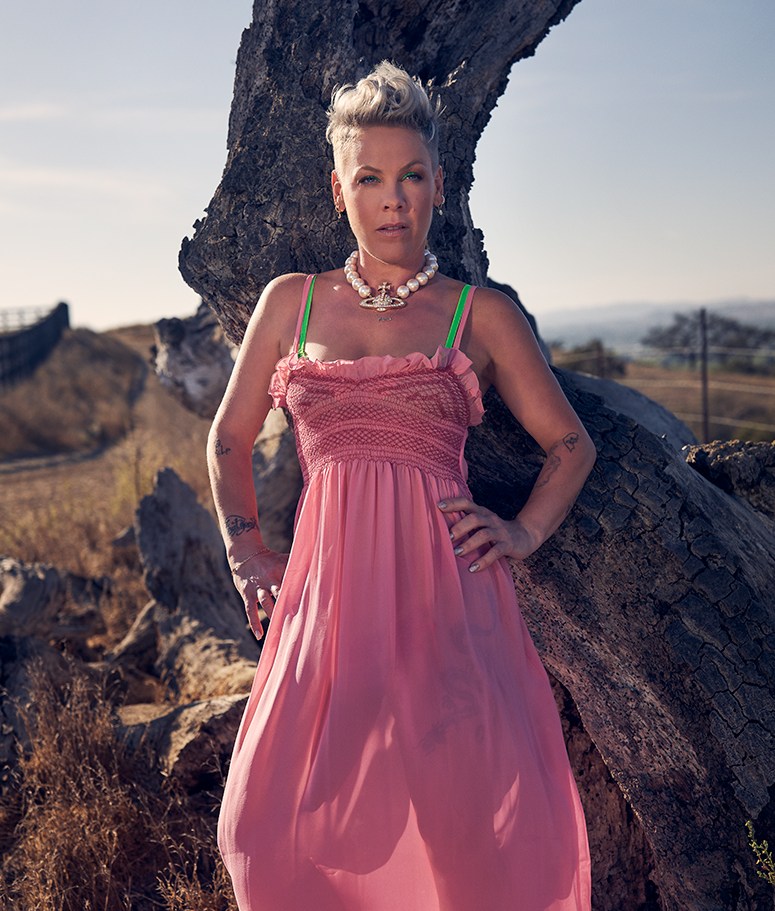  Pink on Her Death-Defying Stadium Tour and Emotional 'Trustfall' Album 