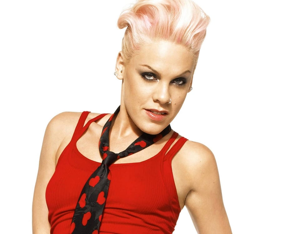  Pink Biography - Childhood, Life Achievements & Timeline Bildidee 
